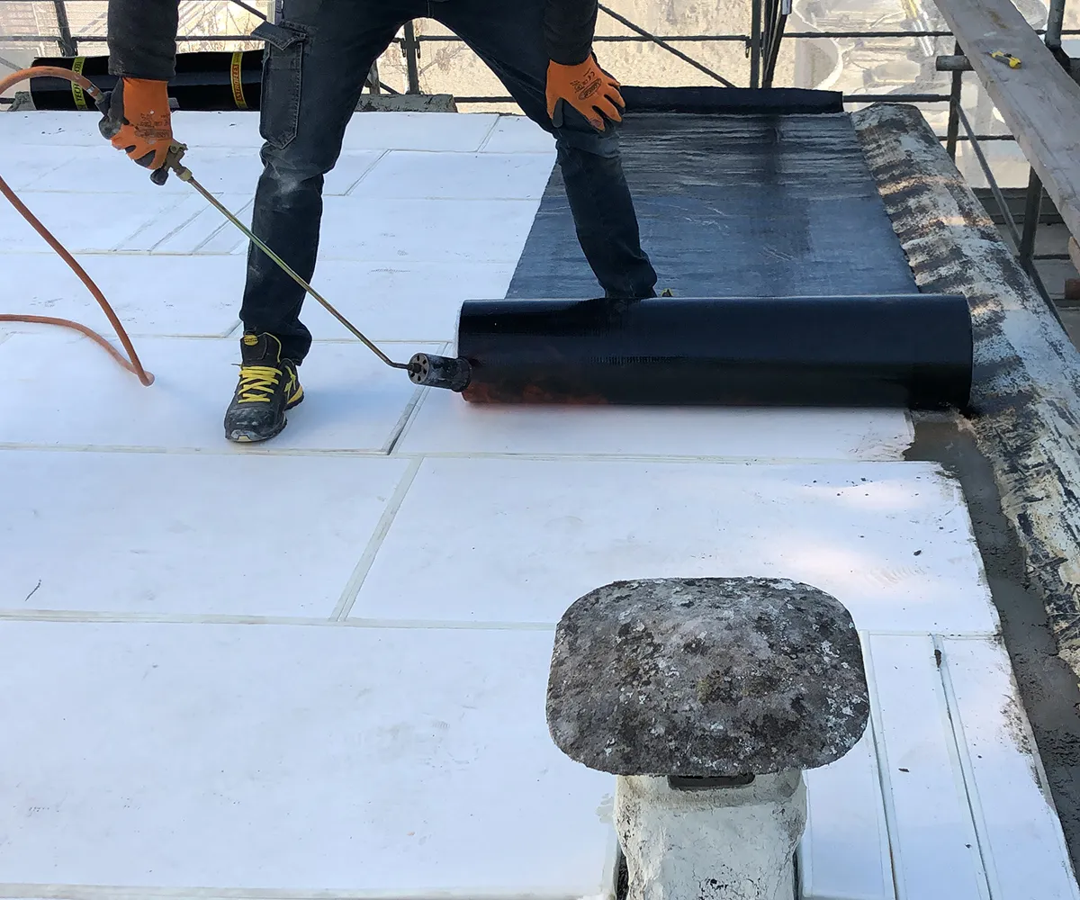 Vacunanex Roof Application